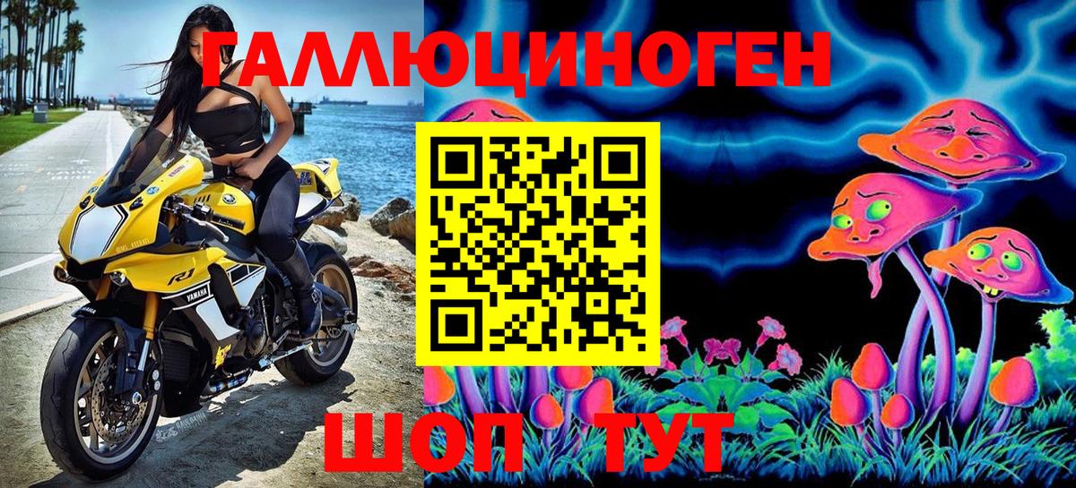 Лениногорск  Псилоцибиновые грибы Psilocybine cubensis  Вход с VPN  Псилоцибиновые грибы прущие грибы 